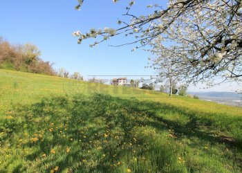 terreno esclusivo e rustico - Rustico Via San Nicolò 7, Montorso Vicentino - foto 3