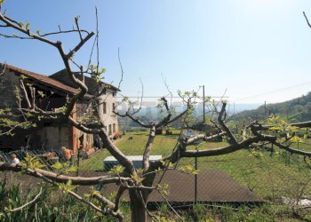 rustico e frutteto - Rustico Via San Nicolò 7, Montorso Vicentino - foto 7