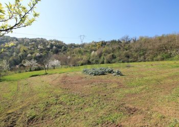 terreno e boschi - Rustico Via San Nicolò 7, Montorso Vicentino - foto 9