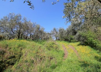 uliveto - Rustico Via San Nicolò 7, Montorso Vicentino - foto 13