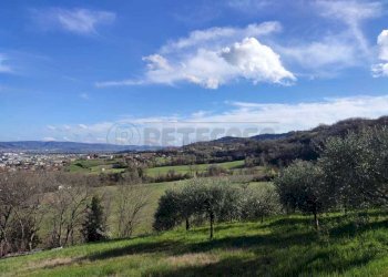 WhatsApp Image 2025-03-10 at 15.19.16(3).jpeg - Terreno edificabile Arzignano - foto 7