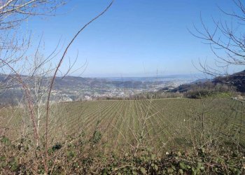 TERRENO.jpeg - Villa Via Vignaga, Chiampo - foto 22