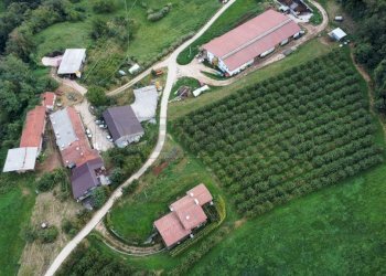 Visto dall\'alto - Villa Chiampo - foto 5