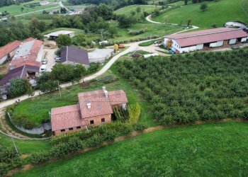 Visto dall\'alto - Villa Chiampo - foto 7