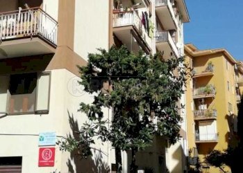 WhatsApp Image 2025-03-05 at 11.32.34.jpeg - Quadrilocale Via Capitano Domenico Fiore 22, Salerno - foto 2