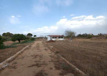 3.jpg - Terraced Villa SP52 Km 2, Gallipoli - photo 4