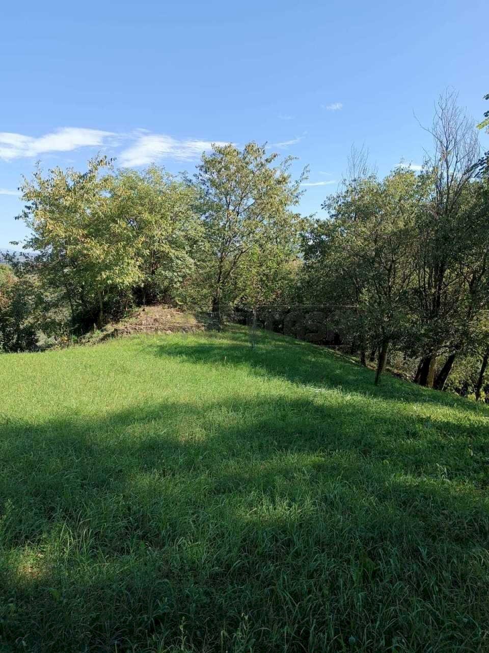 920468e6-fe04-48ed-b059-d7c5b61e9640.jpeg - Agricultural land Via Castellaro, Castegnero - photo 1