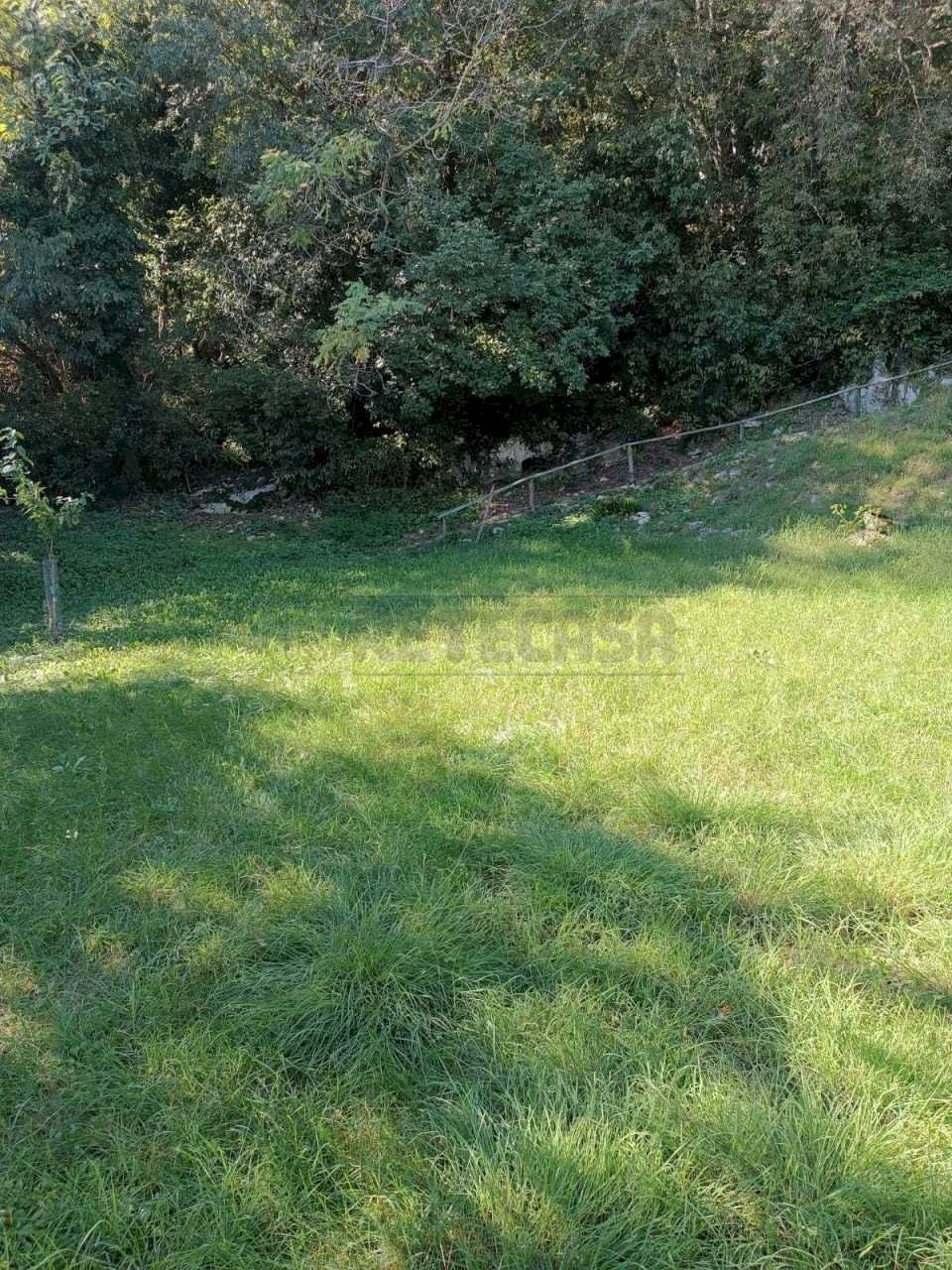 9c589e0d-5165-4202-afa7-e44942763bef.jpeg - Agricultural land Via Castellaro, Castegnero - photo 2