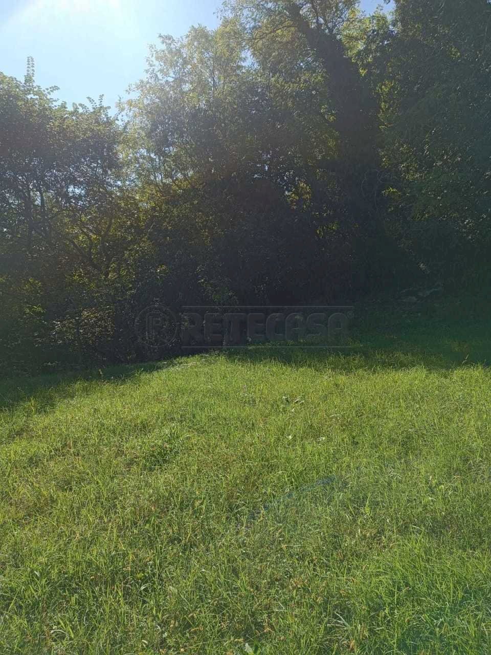 4b49d2e2-b5e0-4b06-9cf7-31bb8e207fcc.jpeg - Agricultural land Via Castellaro, Castegnero - photo 3