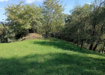 920468e6-fe04-48ed-b059-d7c5b61e9640.jpeg - Agricultural land Via Castellaro, Castegnero - photo 1