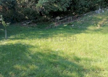 9c589e0d-5165-4202-afa7-e44942763bef.jpeg - Agricultural land Via Castellaro, Castegnero - photo 2