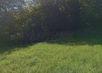 4b49d2e2-b5e0-4b06-9cf7-31bb8e207fcc.jpeg - Agricultural land Via Castellaro, Castegnero - photo 3