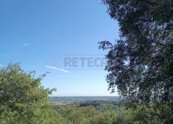 b7e1614a-d583-4d2e-abb9-f29186f76980.jpeg - Agricultural land Via Castellaro, Castegnero - photo 4