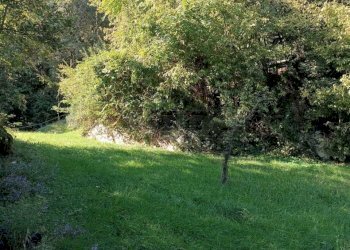 1c9d8707-543e-4800-b7c9-1b48483f698a.jpeg - Agricultural land Via Castellaro, Castegnero - photo 5