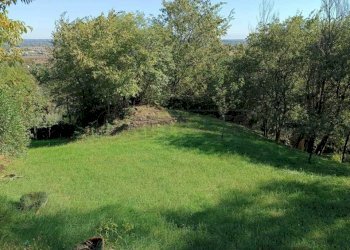 15ca5232-94a2-4530-a447-6ee041c88194.jpeg - Agricultural land Via Castellaro, Castegnero - photo 7