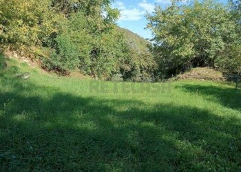 28c30bc9-f3ca-40b4-a96e-d1ecd5637200.jpeg - Agricultural land Via Castellaro, Castegnero - photo 8