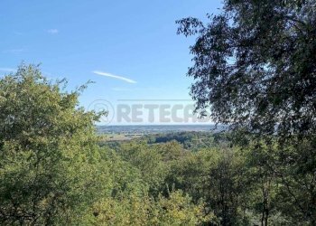 61d210e5-d728-4f5f-bd99-72d959d41c33.jpeg - Agricultural land Via Castellaro, Castegnero - photo 9