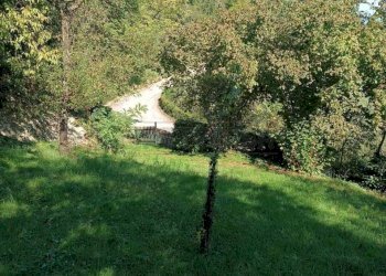 85b5ac34-07e2-4a8b-8e9c-37af1d899675.jpeg - Agricultural land Via Castellaro, Castegnero - photo 10