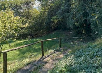 364a1e05-af7d-4942-babc-72bf207a5b41.jpeg - Agricultural land Via Castellaro, Castegnero - photo 11