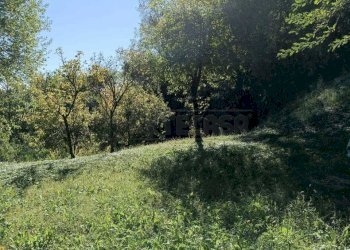 586698d4-1d2c-47d7-9847-8fbf77918390.jpeg - Agricultural land Via Castellaro, Castegnero - photo 14