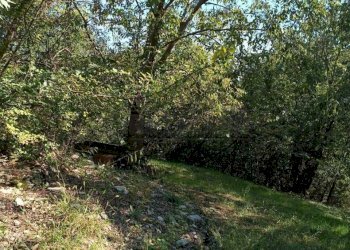 a03dd514-56a3-4e3c-b3b0-eafe7794133b.jpeg - Agricultural land Via Castellaro, Castegnero - photo 16