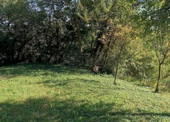 a3ab072a-0bee-45e6-9ff5-34d9e15b5974.jpeg - Agricultural land Via Castellaro, Castegnero - photo 17