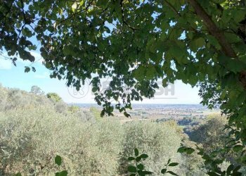 bf2c00bb-3614-4d16-9af4-14c106fa03b7.jpeg - Agricultural land Via Castellaro, Castegnero - photo 18