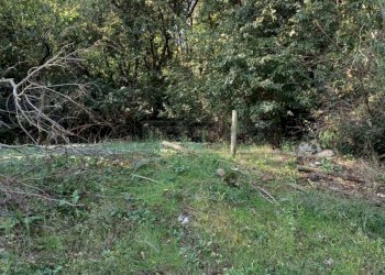 d284a284-a5fe-4782-bae6-2386970f5551.jpeg - Agricultural land Via Castellaro, Castegnero - photo 20