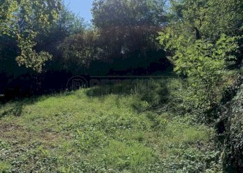 dc935776-382c-4f88-91cc-f4d63736dc37.jpeg - Agricultural land Via Castellaro, Castegnero - photo 21