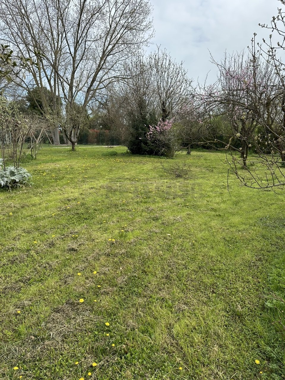 IMG_8101.JPEG - Building land viale riviera berica 200, Vicenza - photo 2