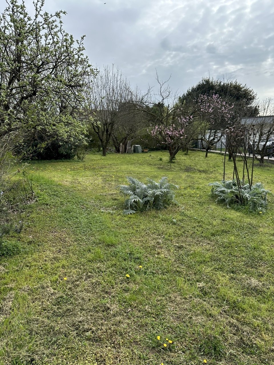 IMG_8102.JPEG - Building land viale riviera berica 200, Vicenza - photo 3