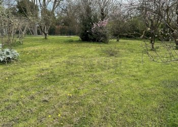 IMG_8101.JPEG - Terreno edificabile viale riviera berica 200, Vicenza - foto 2