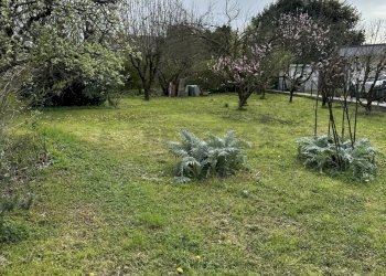 IMG_8102.JPEG - Terreno edificabile viale riviera berica 200, Vicenza - foto 3