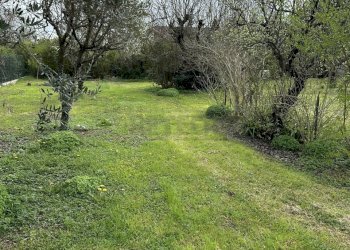 IMG_8104.JPEG - Terreno edificabile viale riviera berica 200, Vicenza - foto 4