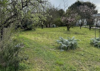 IMG_8103.JPEG - Terreno edificabile viale riviera berica 200, Vicenza - foto 5