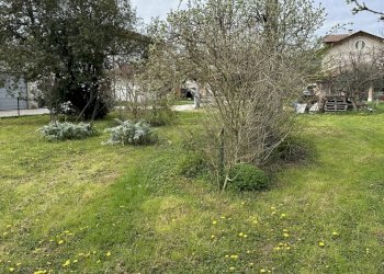 IMG_8105.JPEG - Terreno edificabile viale riviera berica 200, Vicenza - foto 6