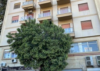 IMG-20250905-WA0028.jpg - Quadrilocale Via Napoleone Colajanni 8, Caltanissetta - foto 1