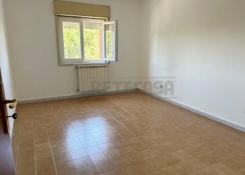 Immagine WhatsApp 2025-06-16 ore 10.37.07_7a899b06 - Quadrilocale cia Fasci Siciliani 48, Caltanissetta - foto 12