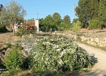 Immagine WhatsApp 2025-05-09 ore 13.49.16_3c537aa6 - Villa CONTRADA PERCIATA, Caltanissetta - foto 5