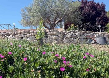 Immagine WhatsApp 2025-05-09 ore 13.49.18_297a39db - Villa CONTRADA PERCIATA, Caltanissetta - foto 8