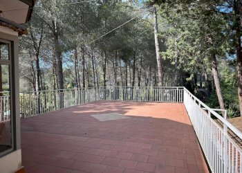 Immagine WhatsApp 2025-05-06 ore 17.05.33_0670079a - Villa SP6bis, Caltanissetta - foto 2