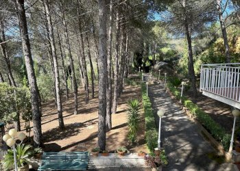 Immagine WhatsApp 2025-05-06 ore 17.05.34_fac4e867 - Villa SP6bis, Caltanissetta - foto 4