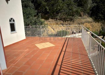 Immagine WhatsApp 2025-05-06 ore 17.05.34_fdd74bef - Villa SP6bis, Caltanissetta - foto 5