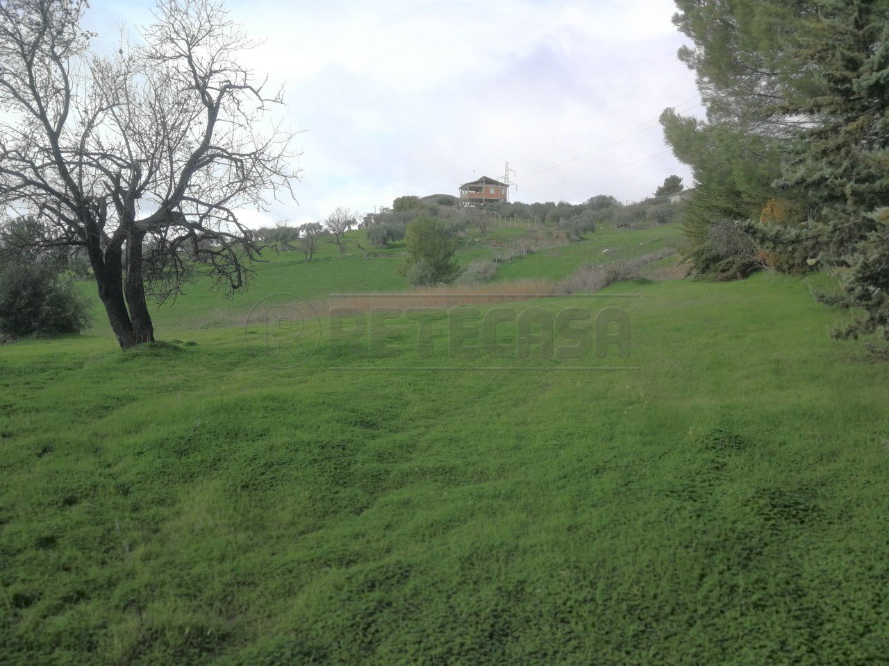 IMG_20210112_121122.jpg - Terreno agricolo CONTRADA DUE FONTANE, Caltanissetta - foto 1