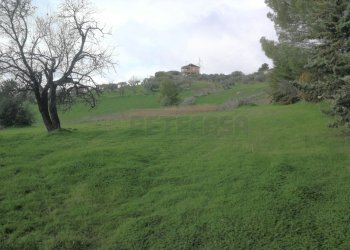 IMG_20210112_121122.jpg - Agricultural land CONTRADA DUE FONTANE, Caltanissetta - photo 1