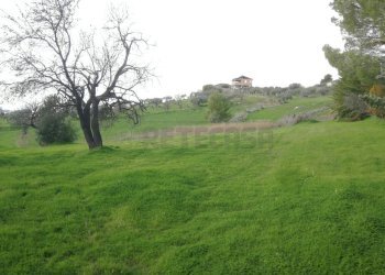 IMG_20210112_121134.jpg - Agricultural land CONTRADA DUE FONTANE, Caltanissetta - photo 3