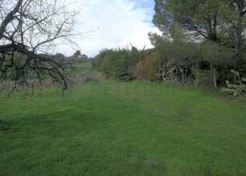 IMG_20210112_121152 (1024x768).jpg - Agricultural land CONTRADA DUE FONTANE, Caltanissetta - photo 4