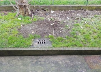 20170307_105718.jpg - Appartamento Via Prov. Francesca, Santa Maria a Monte - foto 1