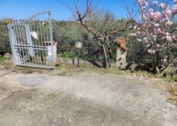 20250305_120248.jpg - Terratetto - Terracielo Via Pelosa 11, Santa Maria a Monte - foto 3