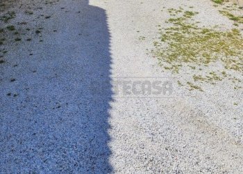 20250305_115612.jpg - Terratetto - Terracielo Via Pelosa 11, Santa Maria a Monte - foto 4